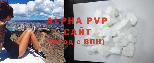 сатива Вяземский