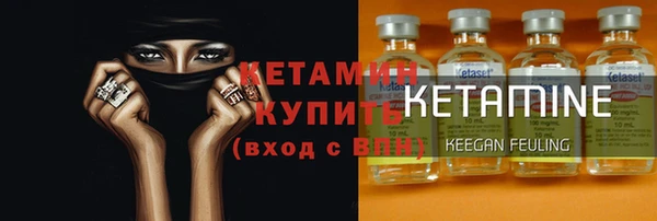 сатива Вяземский