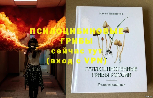 сатива Вяземский