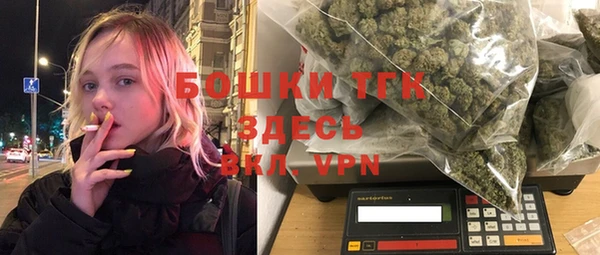 сатива Вяземский