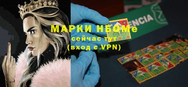 сатива Вяземский
