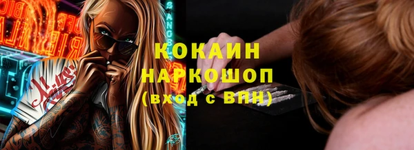 сатива Вяземский